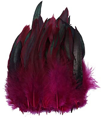 Surakey 100 Stück Basteln Federn,Weinrot Hahnenfedern,14-20CM DIY Bastelfedern für Bastelprojekte Traumfänger DIY Ohrringe Faschingskostüme Party Hüte Masken Schmuckstücke Ostereier Deko Fasanfedern