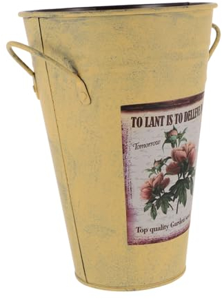 Cabilock Florero 1 Pc Cubo De Flores De Hierro Macetas Grandes Al Aire Libre Macetero Suculento Grande Jarra Decorativa De Granja Decoración País Galvanizado Planchar Cubo De Jardín