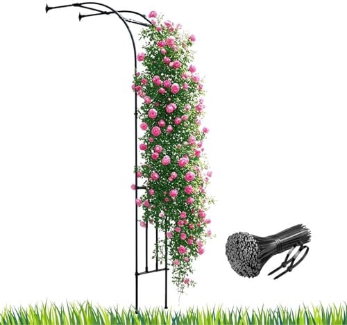 Half Side Metal Garden Arch for Climbing Plants Outdoor Flower Arch Steel Frame Rose Support 150cm Wide x 240cm High Pergola Arbour Trellis Patio Pergola Jasmine Lawn(Black,60 x 240cm)