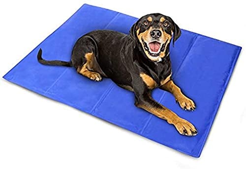 Raxter Pet Dog Cat Cooling Mat Size 60x44 cm with Extra Self Cooling Gel Mat Pads and Foldable Soft Puppy Sprinkler Freeze Ice Pad for Dogs Bed Mattress Durable Non-Toxic Puppy Cushion Blanket