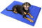 Raxter Pet Dog Cat Cooling Mat Size 60x44 cm with Extra Self Cooling Gel Mat Pads and Foldable Soft Puppy Sprinkler Freeze Ice Pad for Dogs Bed Mattress Durable Non-Toxic Puppy Cushion Blanket