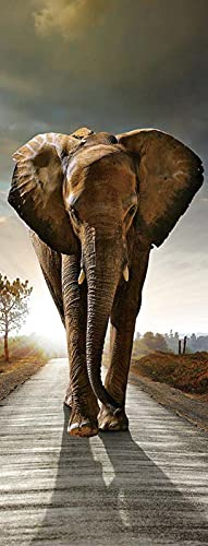 A.Monamour Türtapete Selbstklebend Türfolie Türposter 3D Großer Elefant, Der Auf Der Straße Wildes Tier Thema Geht Vinyl Folie Türdeko Tapete Wandbild Türaufkleber Türtattoo 95 x 215 cm