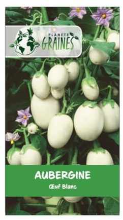 50 graines graines de aubergine oeuf blanc - légume à fruits ovales - variétés ancienne