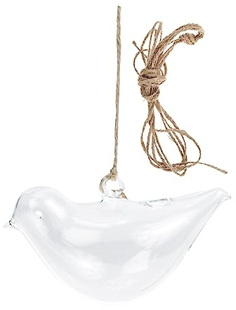 HEMOTON Pot Suspendu Verre pour Plantes Aquatiques Décoration Murale Végétale Vase Moderne