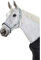 ESKADRON Standard Halfter PIN BUCKLE