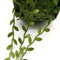5m Blatt-farbband,Dekoband Zierband,Olive Leaves Ribbon String,Künstliche Grüne Blätter Dekorativ für Nähen Handwerk Hochzeit Scrapbooking Geschenkbox,DIY Creation,etc,Armeegrün