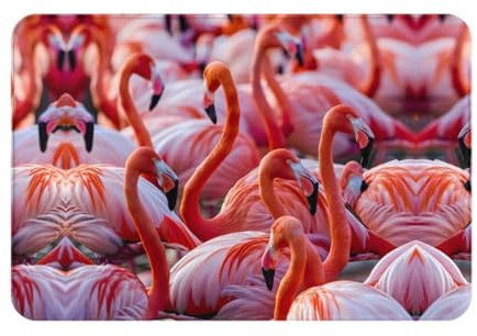 Paillasson d'entrée imprimé flamant rose, idéal pour divers scénarios ménagers