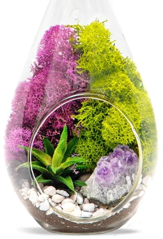 Creations by Nathalie - Kit terrario fai da te per adulti, supporto in metallo, terrario in vetro da appendere, muschio di renna, cristallo e rocce, attrezzi da terrario, statuetta - NO pianta