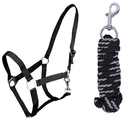 ARBO-INOX Halfter-Set Beginner de lux - Halfter + Führstrick - graue Akzente - verstellbar (COB VOLLBLUT, SCHWARZ)