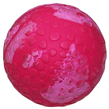 Wolters Cat & Dog Wasserball, Himbeer, 7 cm, für Erwachsene Hunde, Outdoor, Wasserresistent, Kautschuk, Ball, Spielzeug