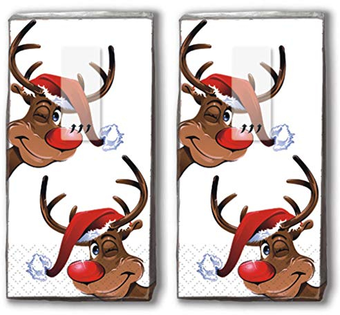 20 Taschentücher (2x 10) Taschentücher Rudolph/Rentier/Winter/Weihnachten