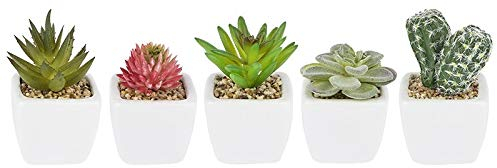 Ideen mit Herz Deko-Sukkulenten-Set | 5 Stück | künstliche Kakteen-Pflanzen im Echt-Look | ideale Deko für Büro, Fensterbank, Wohnzimmer, Schlafzimmer, UVM. (weißer Blumentopf | 6,5 bis 9 cm hoch)