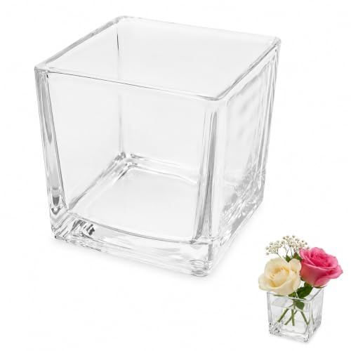 GLEAVI Glass Cube Vase Square Floral Glass Vase for Centerpieces for Table Decor Plant Terrarium Container