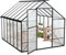 Froadp Serre en aluminium avec fondation 310 x 250 x 205 cm - Plaques creuses en polycarbonate de 4 mm - Résistant aux intempéries - Serre à tomates avec fenêtres - Pour jardin et élevage