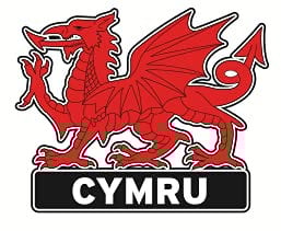Welsh Wales Cymru PU Fridge Magnet Sheep Dragon (Cymru Dragon)