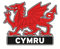 Welsh Wales Cymru PU Fridge Magnet Sheep Dragon (Cymru Dragon)