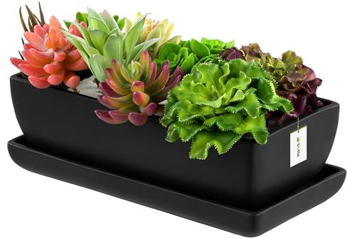botle Pot de fleurs en céramique noir avec soucoupe rectangulaire L x l x H 15 cm x 29 cm x 9 cm Surface mate Cactus moderne glamour