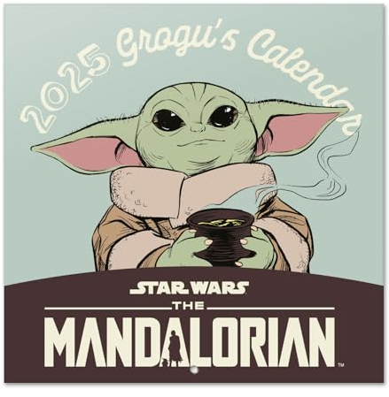 Grupo Erik Kalender 2025 Wandkalender 2025 Star Wars The Mandalorian Child Grogu Kalender 2025 Familienplaner 2025 30 x 30 cm Jahreskalender Familienkalender 2025