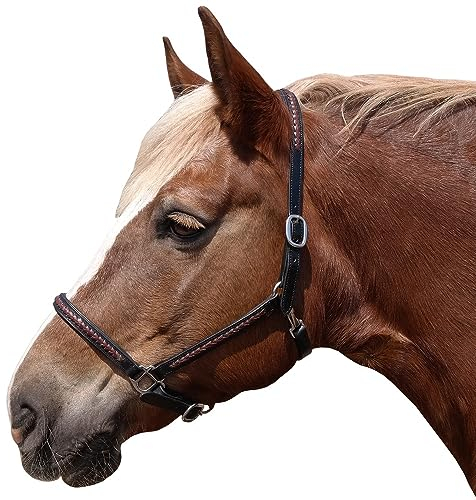 Brama West Pferderhalfter Leder Halfter „Meadow“, Gr. Full