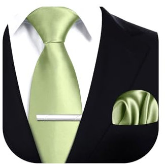 HISDERN Krawatten Herren Salbeigrün Krawatte mit Einstecktuch Krawattenklammer Hochzeit Klassische Formelle Einfarbig Seide Krawatten Set für Männer