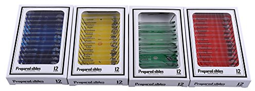 4 Kästen Mikroskop Zubehör Tiere Insekten Pflanzen Blumen Proben Biologische Probe(rot, gelb, blau, grün, 12pcs / box)