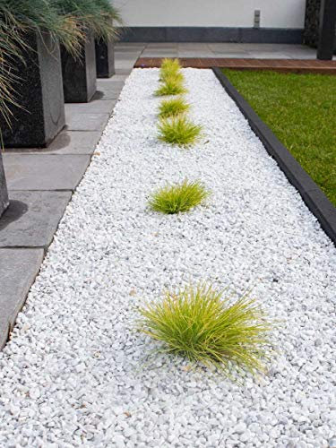 Piedras Decorativas Blancas, 8-12 mm, Bolsa de 20 kg, para Jardines, Macetas, Jarrones y Suculentas