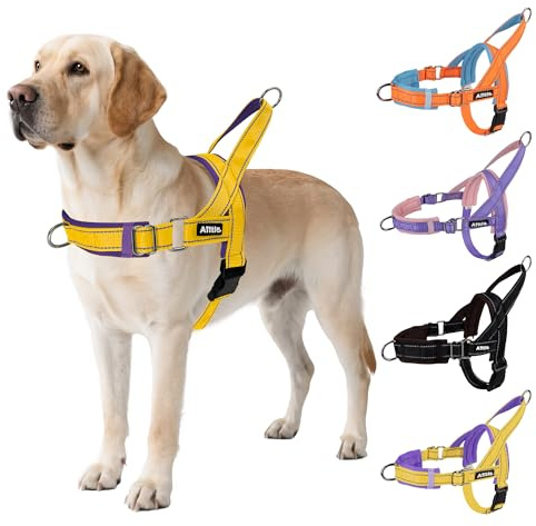 AIITLE Harnais Tactique Anti-Fuite amélioré pour Chien, réglable au Niveau du Cou et de la Poitrine, Anti-Traction, avec poignée rembourrée Souple, idéal pour Les Grands Chiens Jaune-Violet L