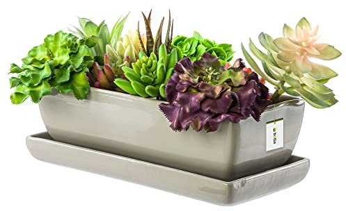 botle Keramik Blumentopf Blumenschale Kakteenschale Untersetzer Wasserloch Kakteen Bonsai Sukkulenten rechteckig grau