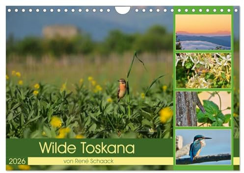 Wilde Toskana - von René Schaack (Wandkalender 2026 DIN A4 quer), CALVENDO Monatskalender: Fotoreise ins Herz Italiens (CALVENDO Orte)
