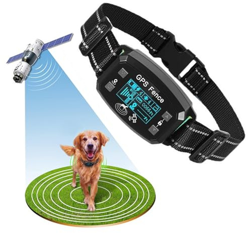 Billg Collier de Dressage pour Chien, Résistant à L’Eau Collier de Dressage sans Fil GPS, 3 Modes Clôture Anti-Fugue pour Grands Espaces Ouverts, Portée de 30 à 2000m, 9 Niveaux de Sensibilité