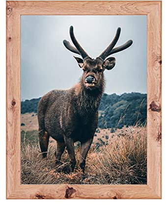 Rahmendesign24 Posterrahmen Fiona 60x80 Eiche natur Fotorahmen, Wechselrahmen, Bilderrahmen