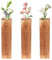 Abiemuce 3 Stück Wandvase aus Holz, Wandpflanzgefäße für Grünpflanzen und Trockenblumen, Wand Vase Home Decor für den Innenbereich, Moderne Wanddekoration im Landhausstil (Walnuss)