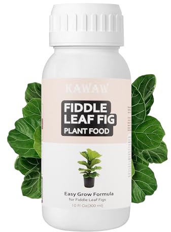 V-MOD 300ml Geigenfeige Bio-Dünger Konzentrat– Natur mit Probiotika | Mikrobieller organischer Flüssigdünger für Ficus Lyrata & Zimmerpflanzen