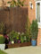 Willow Bulrush Natural Garden Fence Panel Screening Roll Privacy Border Wind & Sun Protection (Willow Screen, 1m x 4m)