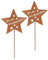 Dragimex weihnachtlicher Garten-Stecker Stern Frohe Weihnachten Metall rostfarben mit etwas Goldglitzer im 2-er Set (2 x mittel)