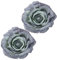 ABOOFAN 2 Pièces Rideau Clip Rideau Boucle Fleur Rideau Boho Embrasses De Rideau Rideau Fleur Embrasses Rideau Fleur Retenues Décoratif Draperie Retenues Décorations Blanc Rural Plastique