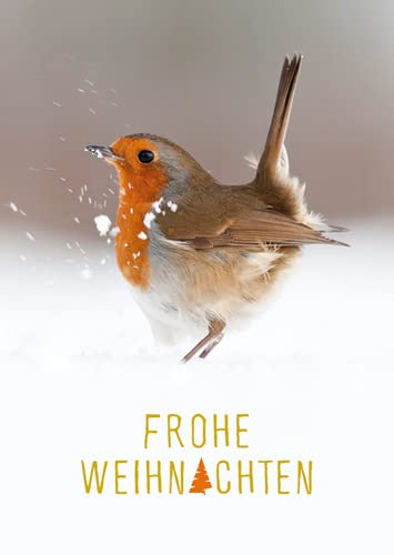 3er-Pack: Postkarte A6 +++ WEIHNACHTEN von modern times +++ FROHE WEIHNACHTEN ROTKEHLCHEN GOLD +++ BK.EDITION © HODDINOTT, Ross