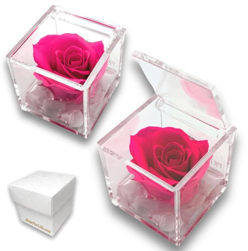PREMIUM ROSE - Cubo Rosa Stabilizzata Rosa 5 cm con Marmo di Carrara - Rosa Eterna Stabilizzata Made in Italy - Idea per Chi Ama Colori Vivaci e Giovani Donne - Fucsia 1052