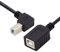 NFHK USB 2.0 B Type Male to Female Extension Cable Down Angled 90 Degree 20cm for Printer Scanner Disk