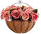 Maceta colgante de metal para interior y exterior, diámetro de 25 cm, maceta colgante para plantas, maceta colgante de árbol de coco para interior y exterior, decoración