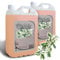 GPQ - Gel/Champú 2en1 AZAHAR | 2 Garrafas x 5 Ltr | 92% Natural Origin | Amenities Hotel | Con Acondicionador, Sin Parabenos | Hotel, Casa Rural, Apartamento, B&B | Made in Spain
