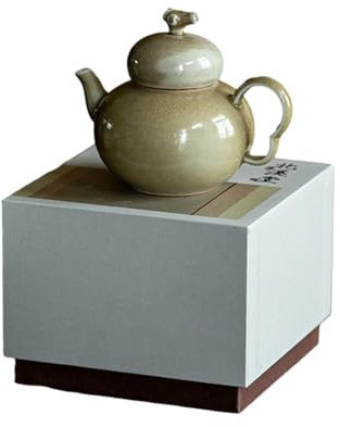 Tetera pequeña hecha a mano con hierba de cerámica y ceniza de madera, juego de té literati que no quema, tetera de poliuretano