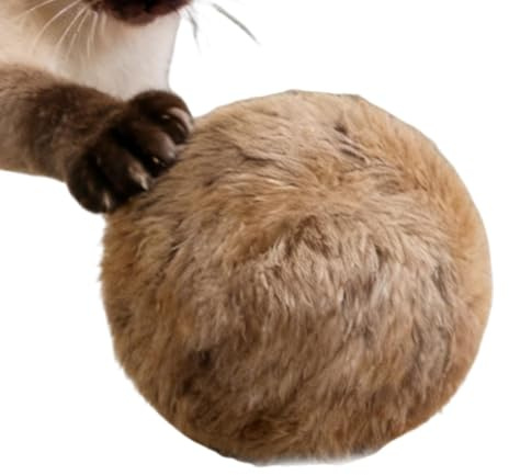 Katzenball Spielzeug Spielzeug Für Junge Katzen