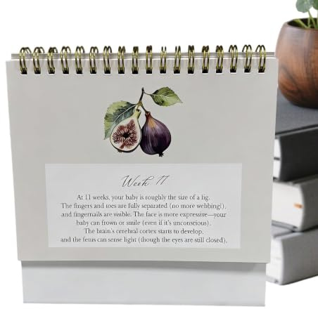 Graviditetskalender Vecka för Vecka Inbunden Journal Tracker