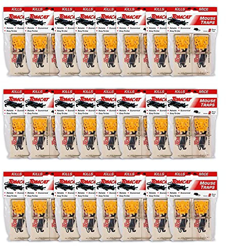 Tomcat 0373524 Mausefalle aus Holz, 2 Stück 24 Pack