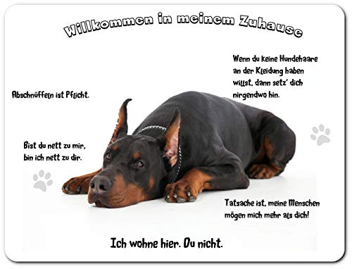Merchandise for Fans Blechschild/Warnschild/Türschild - Aluminium - 30x40cm - - Willkommen in Meinem Zuhause - Motiv: Dobermann liegend- 01