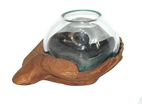 SAWA Glas-Vase/Schale Blumenvase auf Holz-Händen (16 X 13 cm), Ø Glas ca. 10-13 cm, Holzskulptur, charakteristische Dekoration