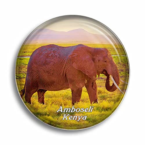 Fridge Magnet Ambosele Nation Park Amboseli Kenya Glass Magnets for Refrigerator Souvenirs Cute Crystal Magnet Decor for Whiteboard Office Home Gift
