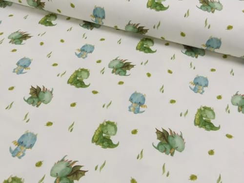 1m x 1,50m Baumwoll Jersey Little Dragons