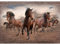 Runa Art Fototapete 396 x 280 cm Pferde - Vlies Wanddekoration Wohnzimmer Schlafzimmer - Deutsche Manufaktur - Braun 9337012b